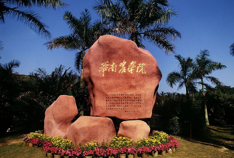 7a0a867d-e0a0-44bb-af98-fc3d94d86552.jpg
