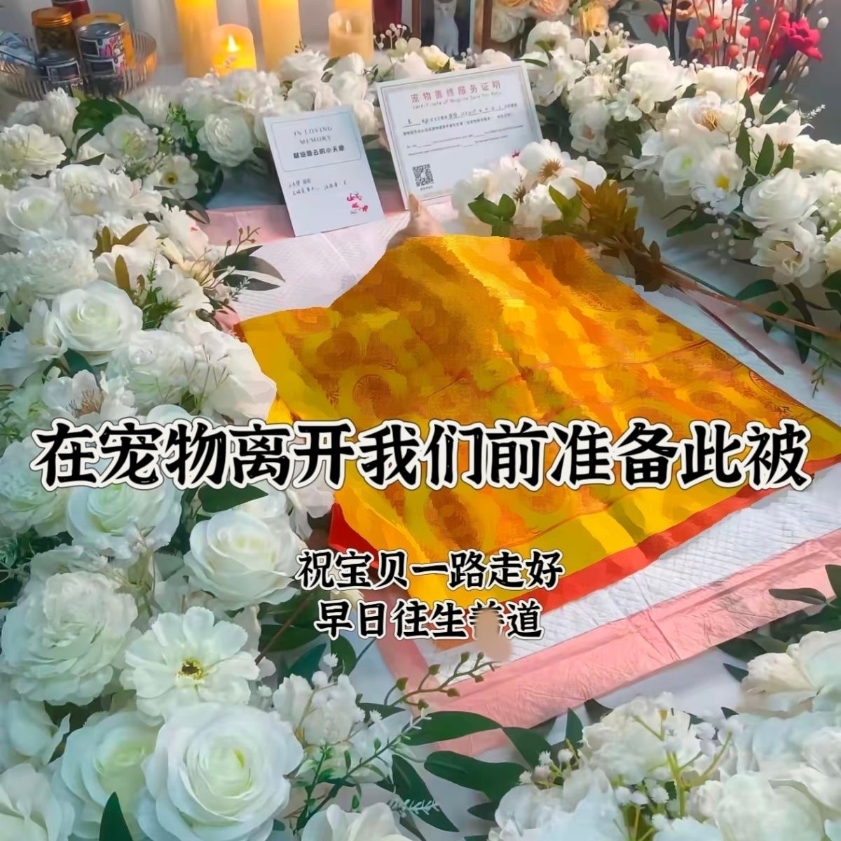 宠物临终盖被.jpg